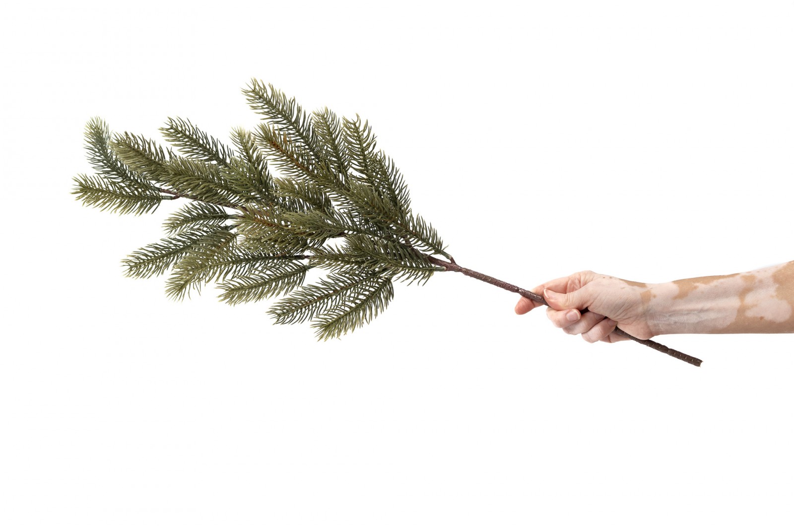 Artificial butterfly pine branch (41) artificial-butterfly-pine-branch-41