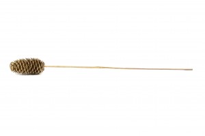 douglas-pine-cone-on-stem-29.