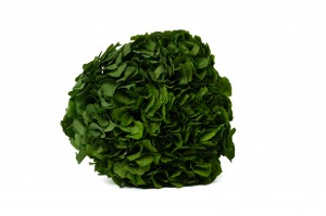 preserved-hydrangea-14.