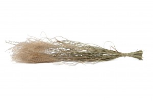 dried-miscanthus-18.