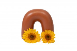 tete-de-tournesol-stabilisee-30.