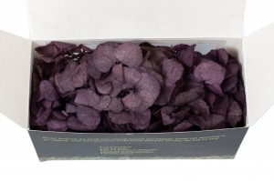 hortensia-stabilise-en-branches-14.