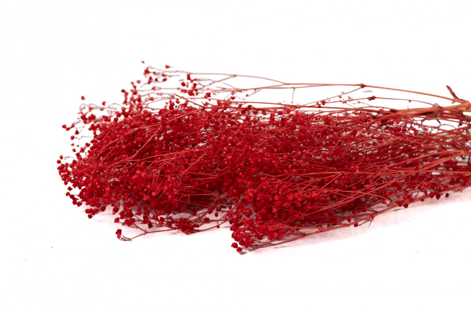 gypsophile-stabilise-11