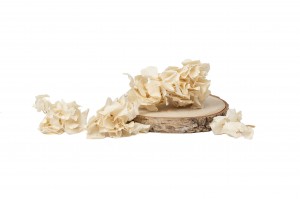 preserved-sprig-hydrangea-14.