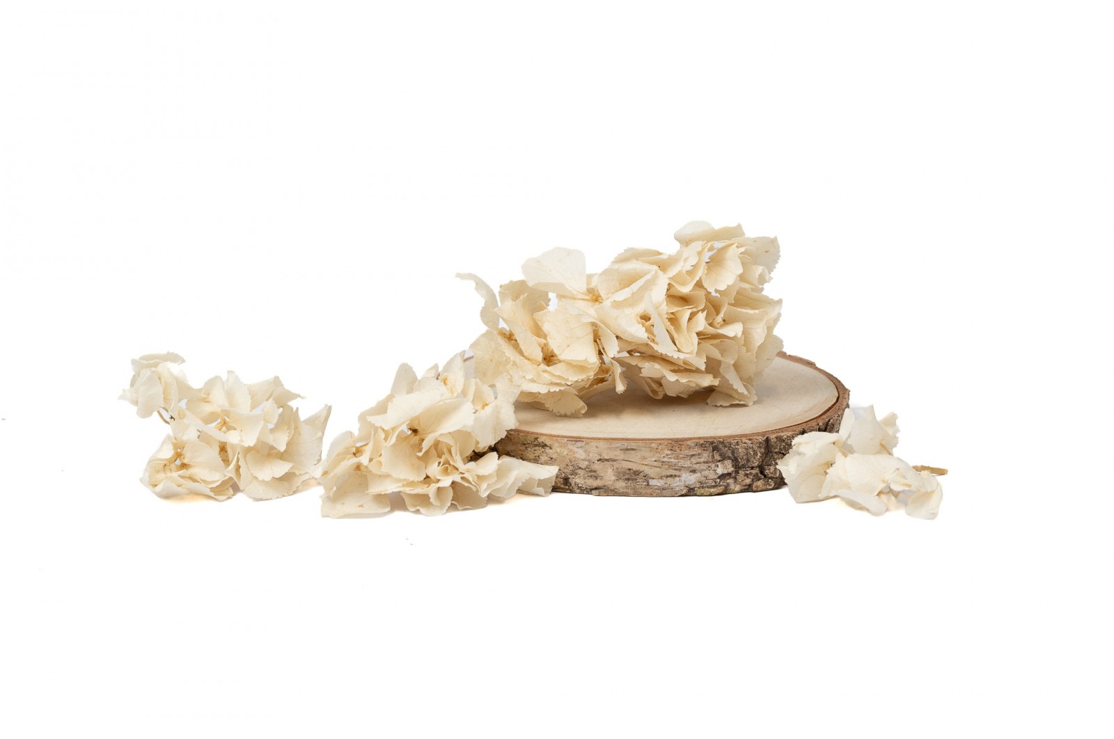 preserved-sprig-hydrangea-14