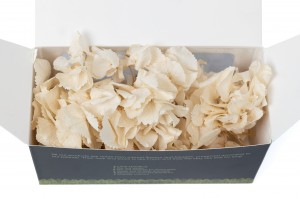 preserved-sprig-hydrangea-14.