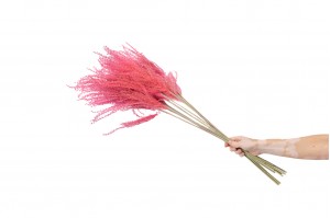 dried-fluffy-reed-grass-29.