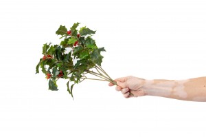 artificial-holly-pick-40.