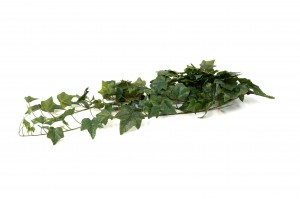 artificial-ivy-hanging-40.