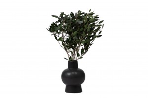 stabilisierter-wilder-olive-15.