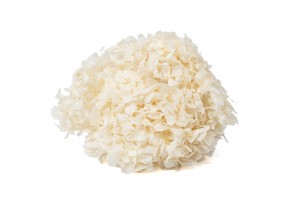 stabilisierte-hortensien-7.