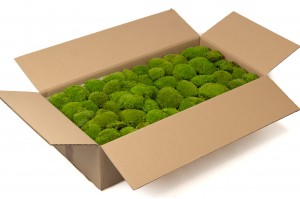 preserved-pole-moss-5-cn.