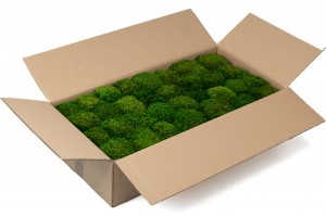 preserved-moss-from-provence-5-cn.