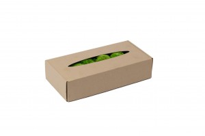 preserved-mini-pole-moss-5.