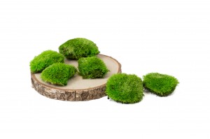 mini-mousse-boule-stabilisee-5.