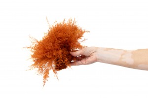 stabilisierter-air-fern-18.