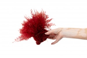 air-fern-stabilisee-18.