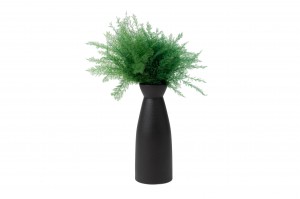 stabilisierter-air-fern-18.