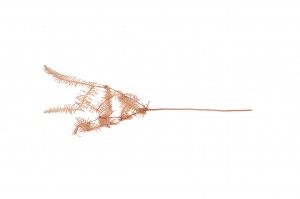 preserved-sylvestre-fern-8.