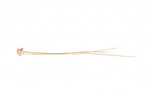 trockene-margaret-12.