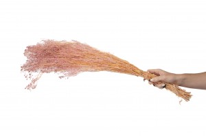 stabilisiertes-paniculata-gipskraut-8.