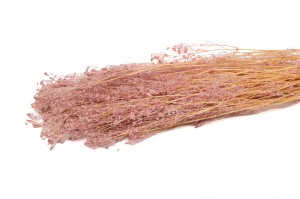 gypsophile-stabilise-14.