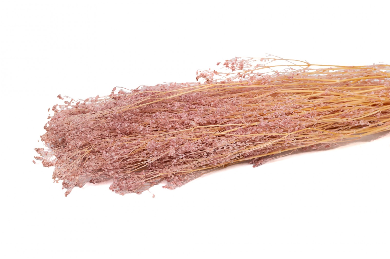 gypsophile-stabilise-14