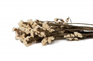 statice-stabilisee-6.