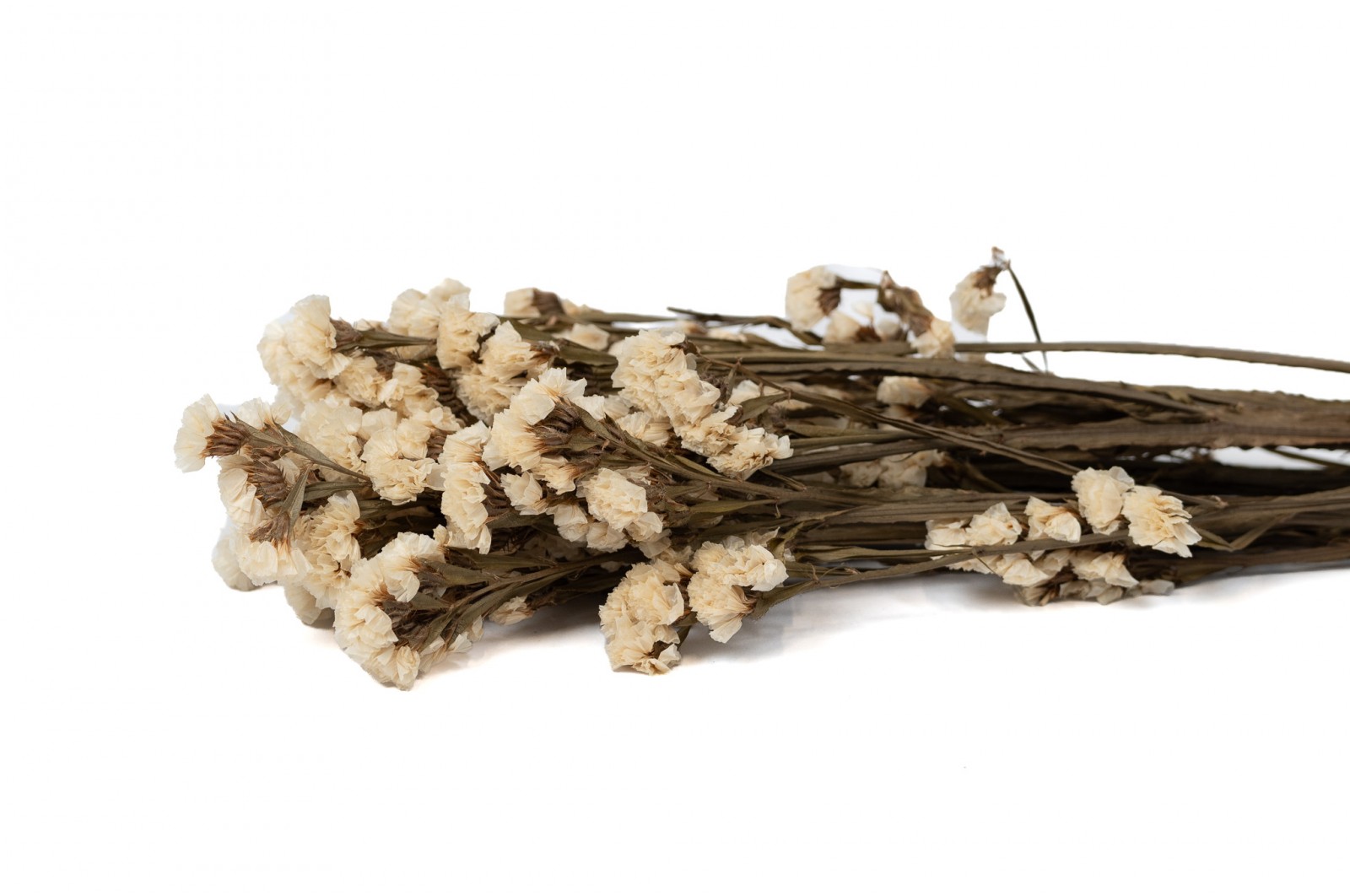 Preserved statice (6) preserved-statice-6