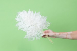 preserved-leather-fern-19.