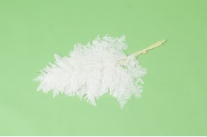 preserved-leather-fern-19.