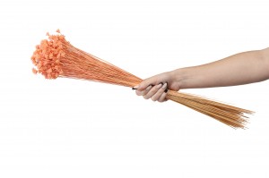 dried-hill-flower-12.