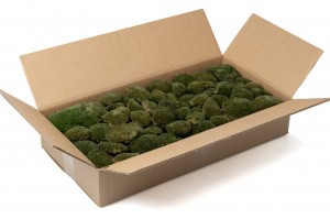 dry-pole-moss-33-cn.