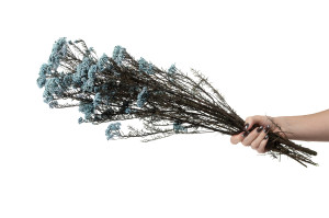 stabilisierte-diosmi-8.