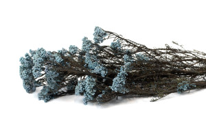 preserved-diosmirice-flower-8.