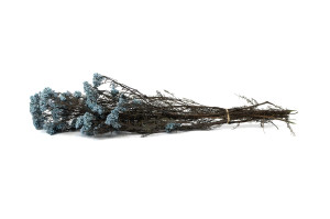 preserved-diosmirice-flower-8.