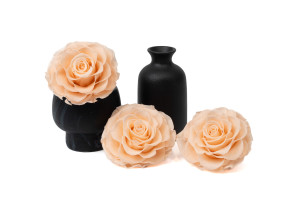 preserved-mandala-rose-kiara-37.