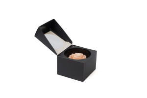 stabilisierte-mandala-rose-kiara-37.