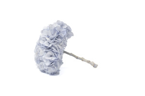 hortensia-kiara-stabilise-o-14-20-cm-37.