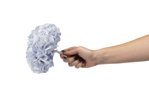 preserved-kiara-hydrangea-o-14-20-cm-37.