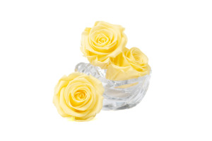 tetes-de-roses-kiara-stabilisees-xl-37.