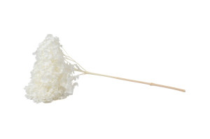 preserved-hydrangea-anna-31.