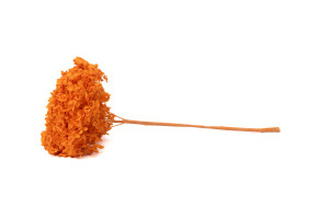 preserved-hydrangea-anna-31.