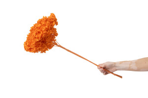 preserved-hydrangea-anna-31.