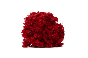 hortensia-anna-stabilise-31.