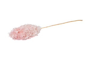 preserved-grandiflora-hydrangea-31.