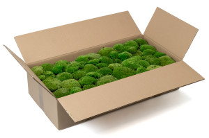 stabilisiertes-kugelmoos-5-cn.