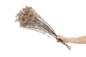 stabilisierter-limonium-sinensis-8.