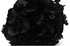 hortensia-stabilise-14.