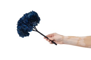 hortensia-stabilise-14.